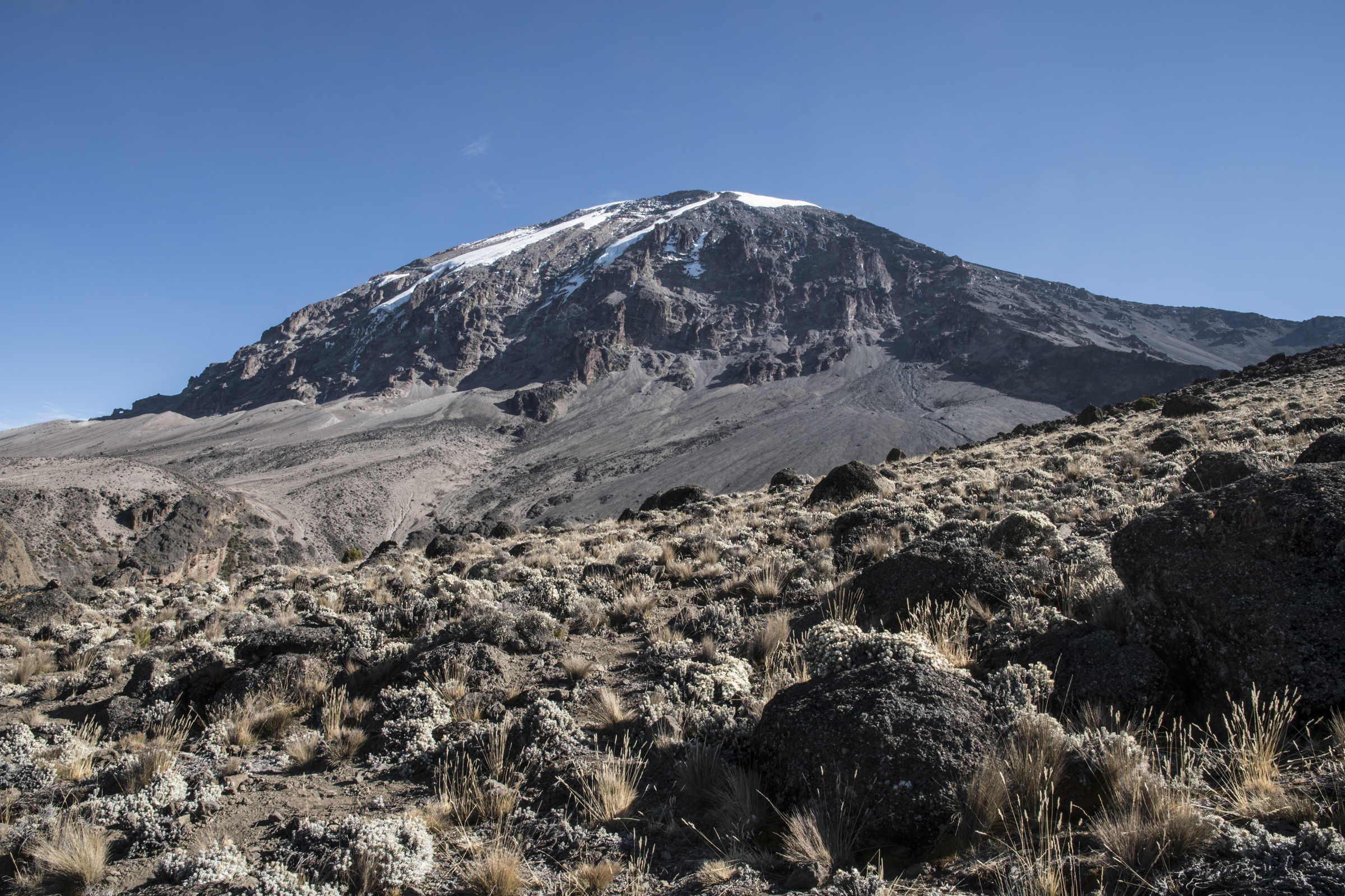Kilimanjaro14